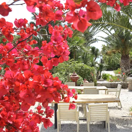 Medusa & Apart Otel 4*