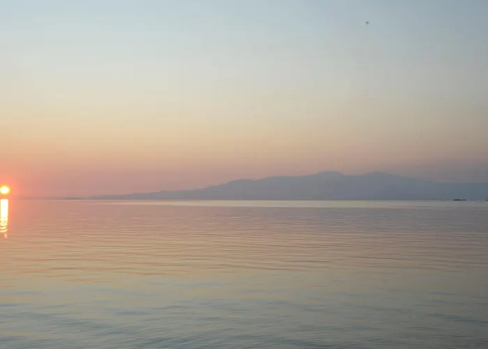 Medusa & Aparthotel Plaka (Naxos)