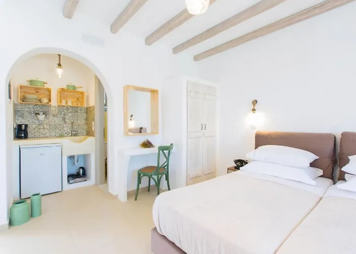 Aparthotel Medusa & Plaka (Naxos)